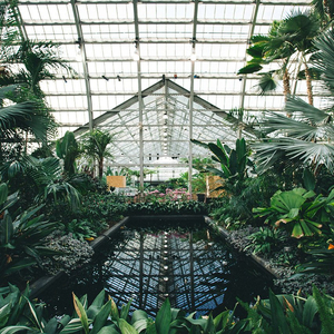 蜜臀⭐️色欲国产一区二区
